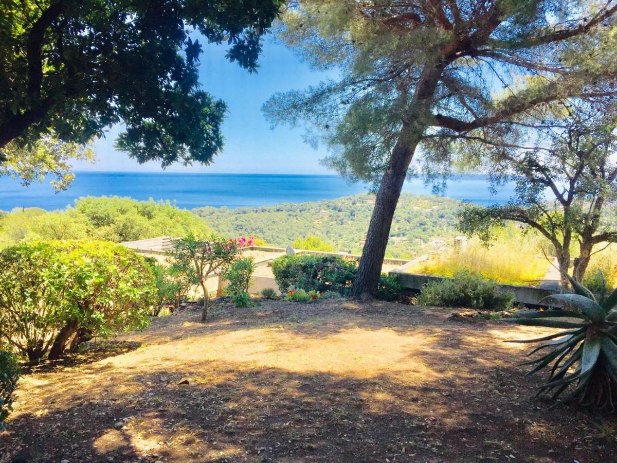 Gaou Benat, village des fourches, Label patrimoine XXe siècle Bormes-les-Mimosas Esterno foto